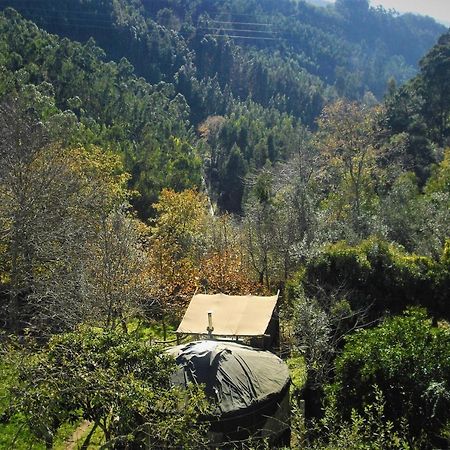 Green Man Yurt Penela Exterior foto