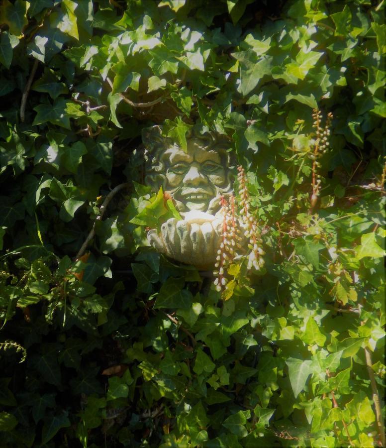 Green Man Yurt Penela Exterior foto