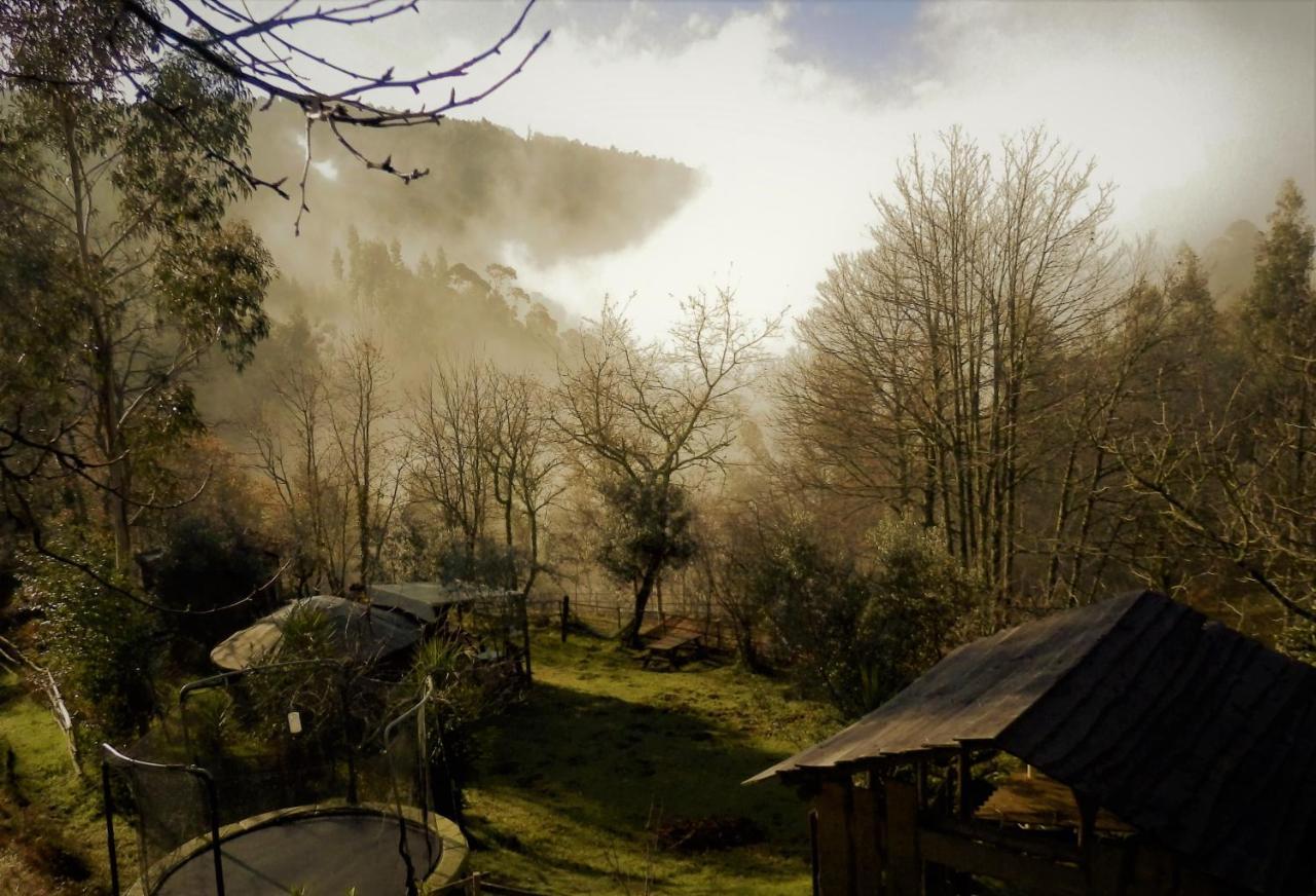 Green Man Yurt Penela Exterior foto